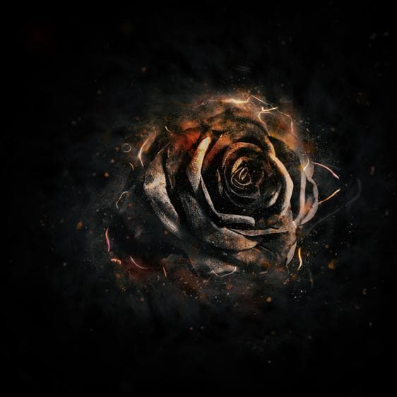 Burning Blossom cover