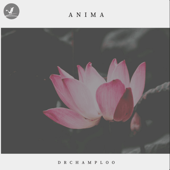 Anima